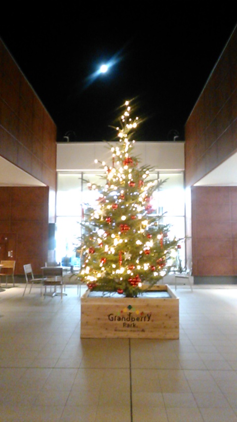 グランベリーパークのクリスマスツリー